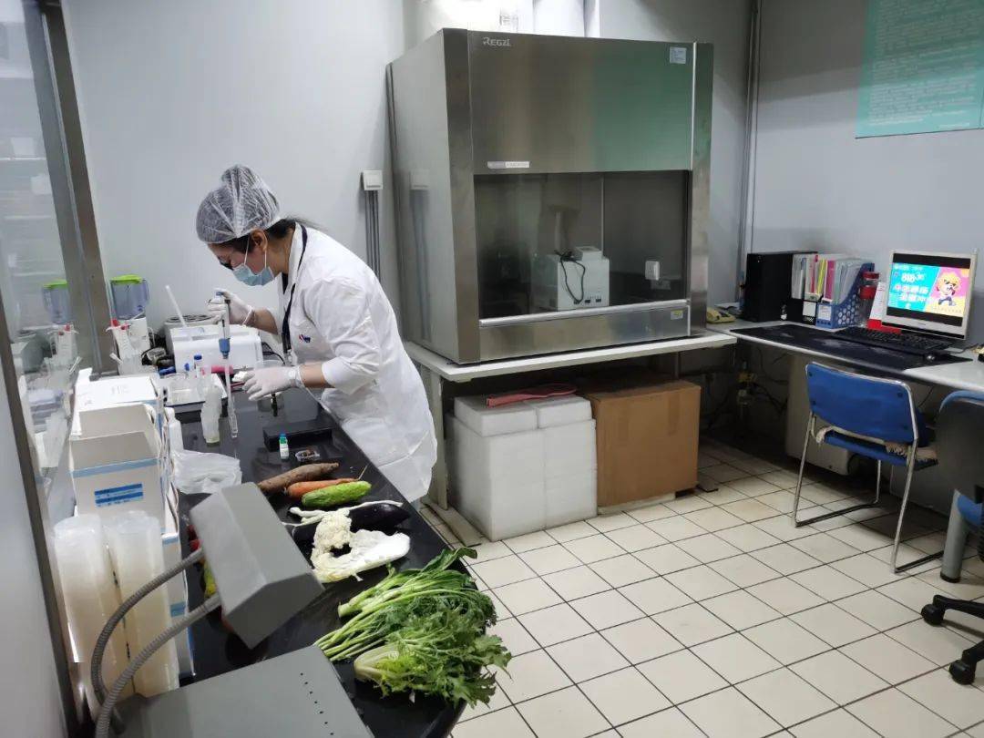 岑溪食品检测实验室装修方案